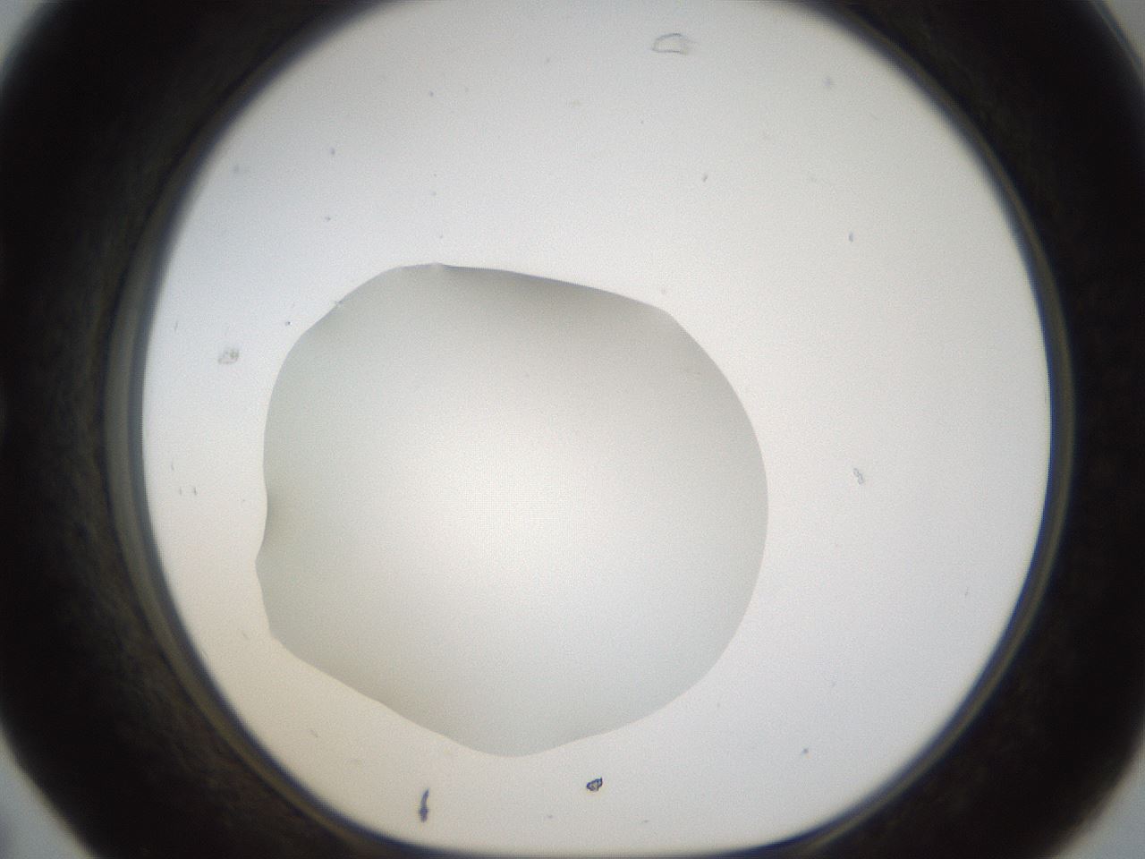 folderID289_plateID1289_batchID4274_wellNum31_profileID1_d1_r77302_ef.jpg