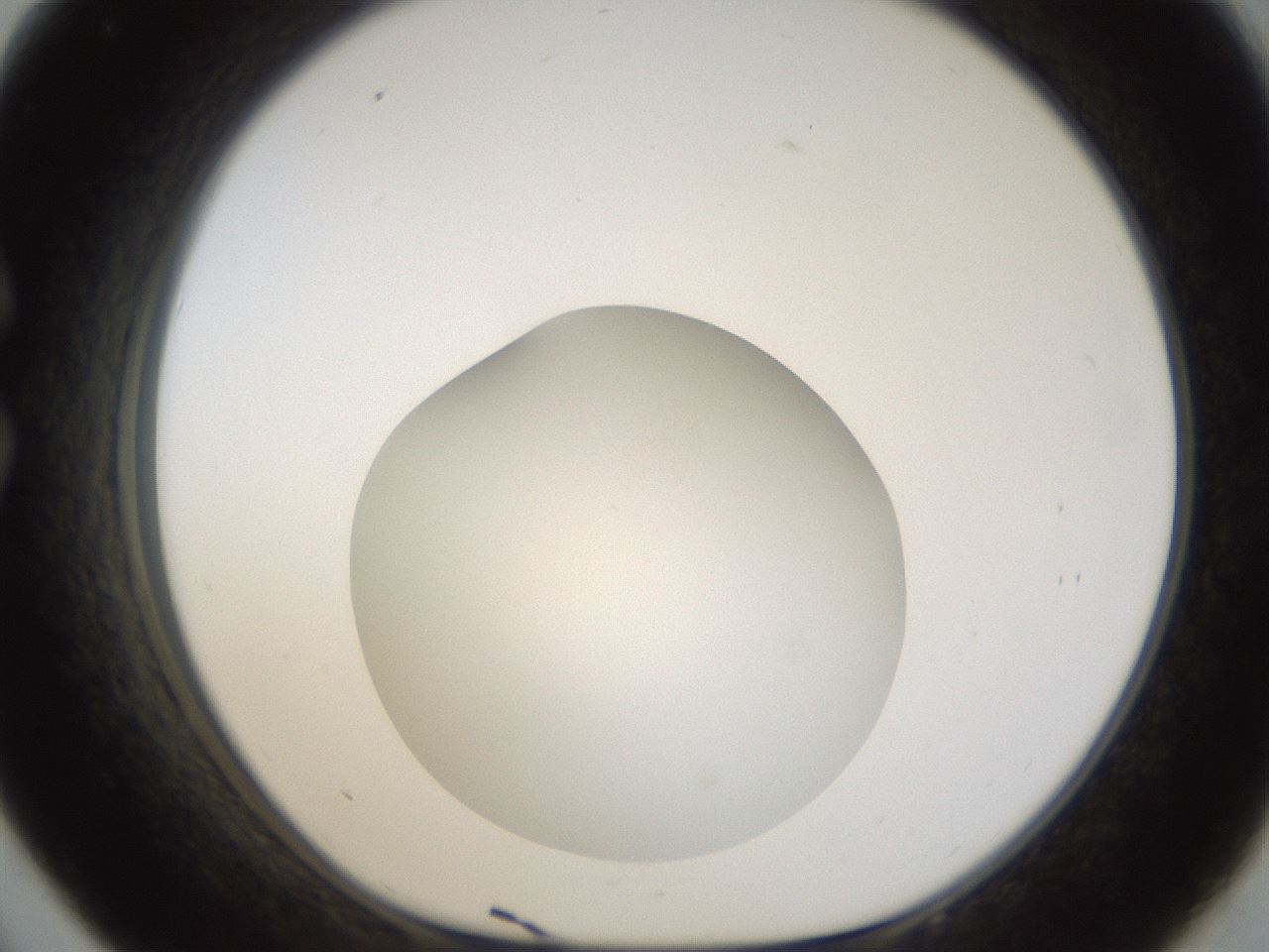 folderID289_plateID1289_batchID4274_wellNum33_profileID1_d1_r77304_ef.jpg