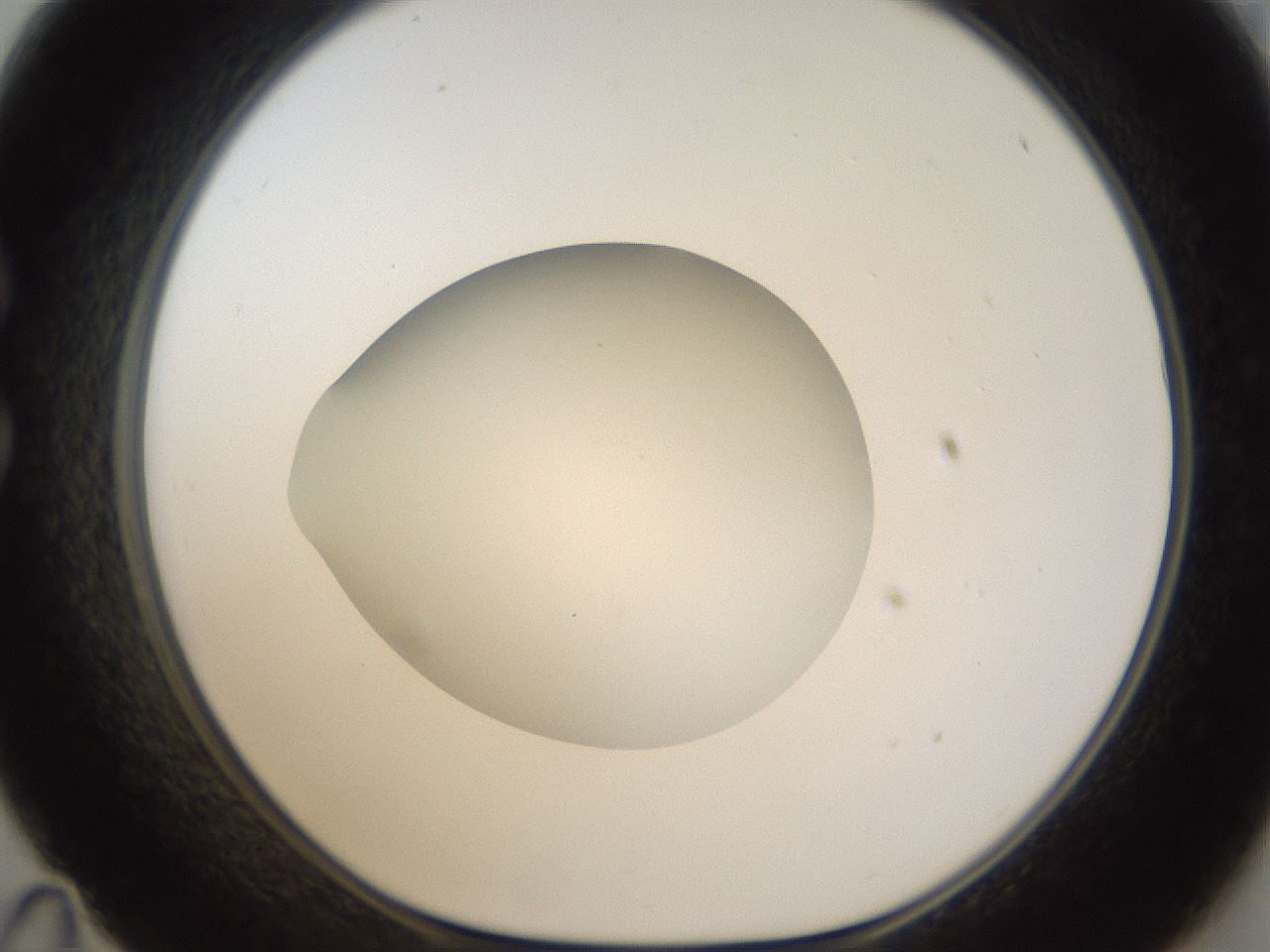 folderID289_plateID1289_batchID4274_wellNum35_profileID1_d1_r77306_ef.jpg