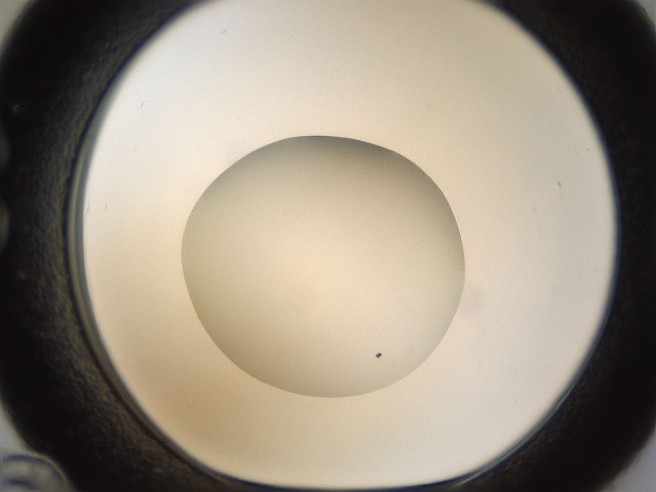 folderID289_plateID1289_batchID4274_wellNum36_profileID1_d1_r77307_ef.jpg