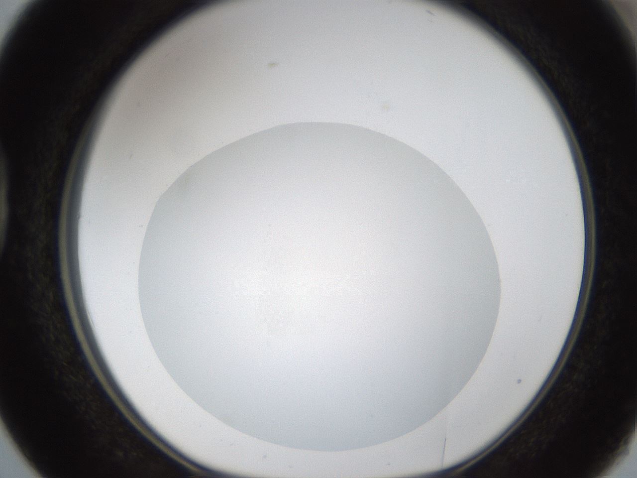 folderID289_plateID1289_batchID4274_wellNum38_profileID1_d1_r77309_ef.jpg