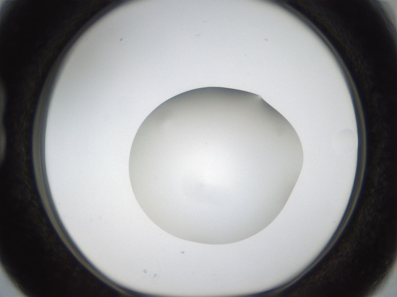folderID289_plateID1289_batchID4274_wellNum15_profileID1_d1_r77286_ef.jpg