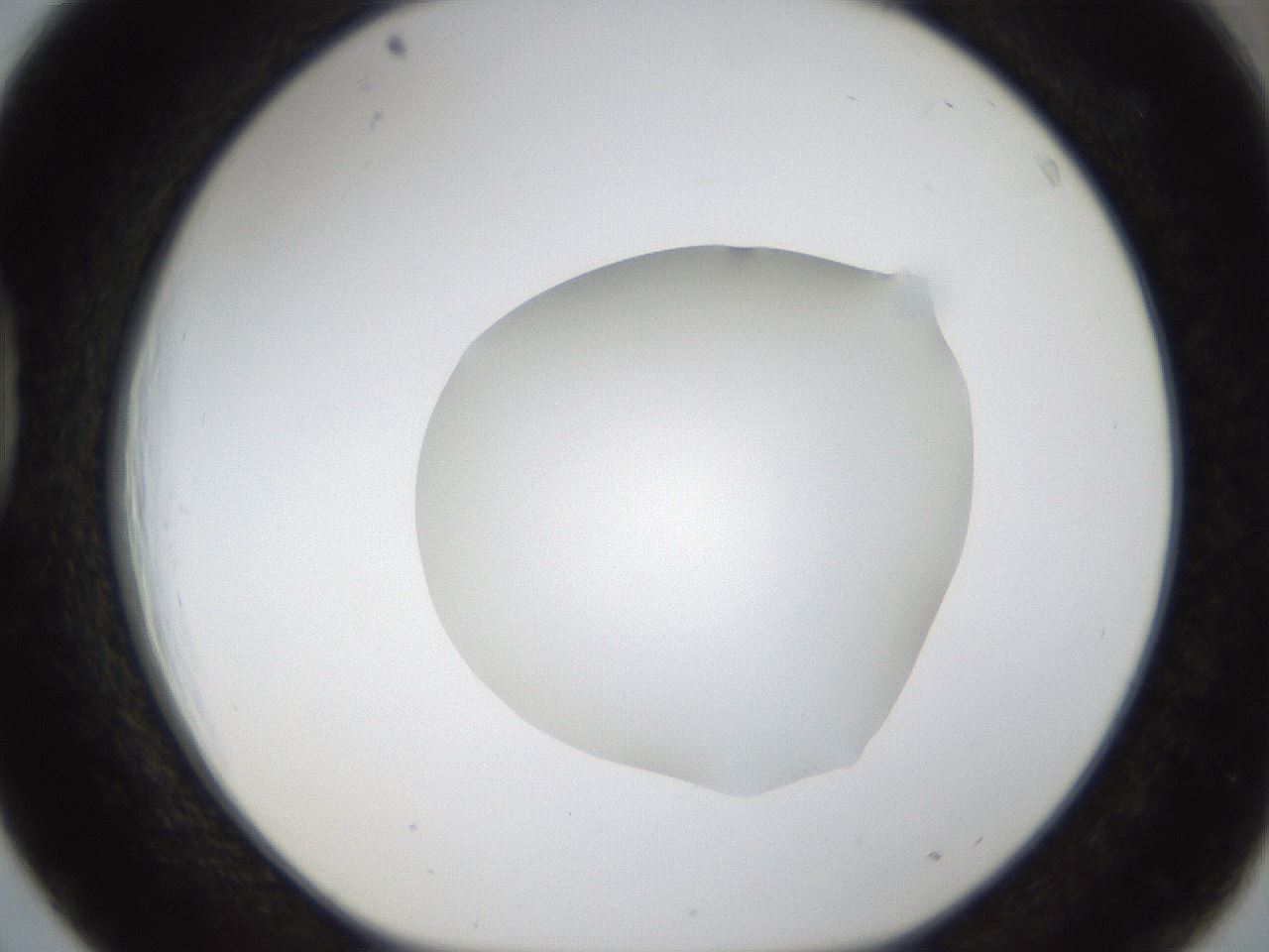 folderID289_plateID1289_batchID4274_wellNum39_profileID1_d1_r77310_ef.jpg
