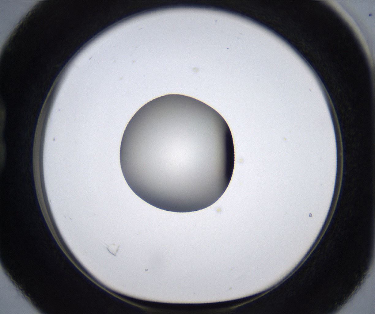 folderID289_plateID2289_batchID10816_wellNum16_profileID1_d1_r159901_ef.jpg