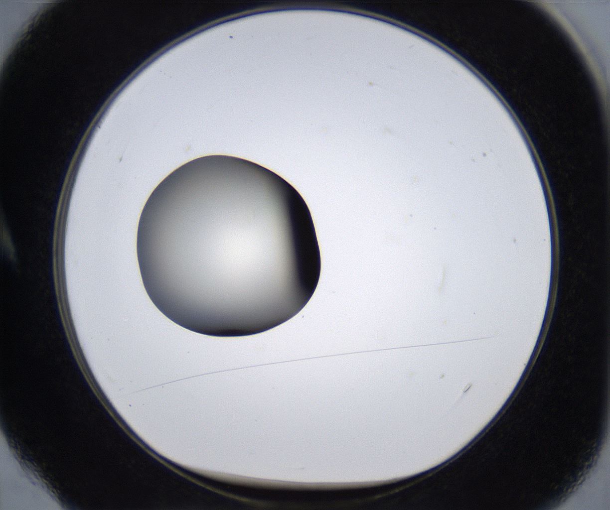 folderID289_plateID2289_batchID10816_wellNum4_profileID1_d1_r159889_ef.jpg