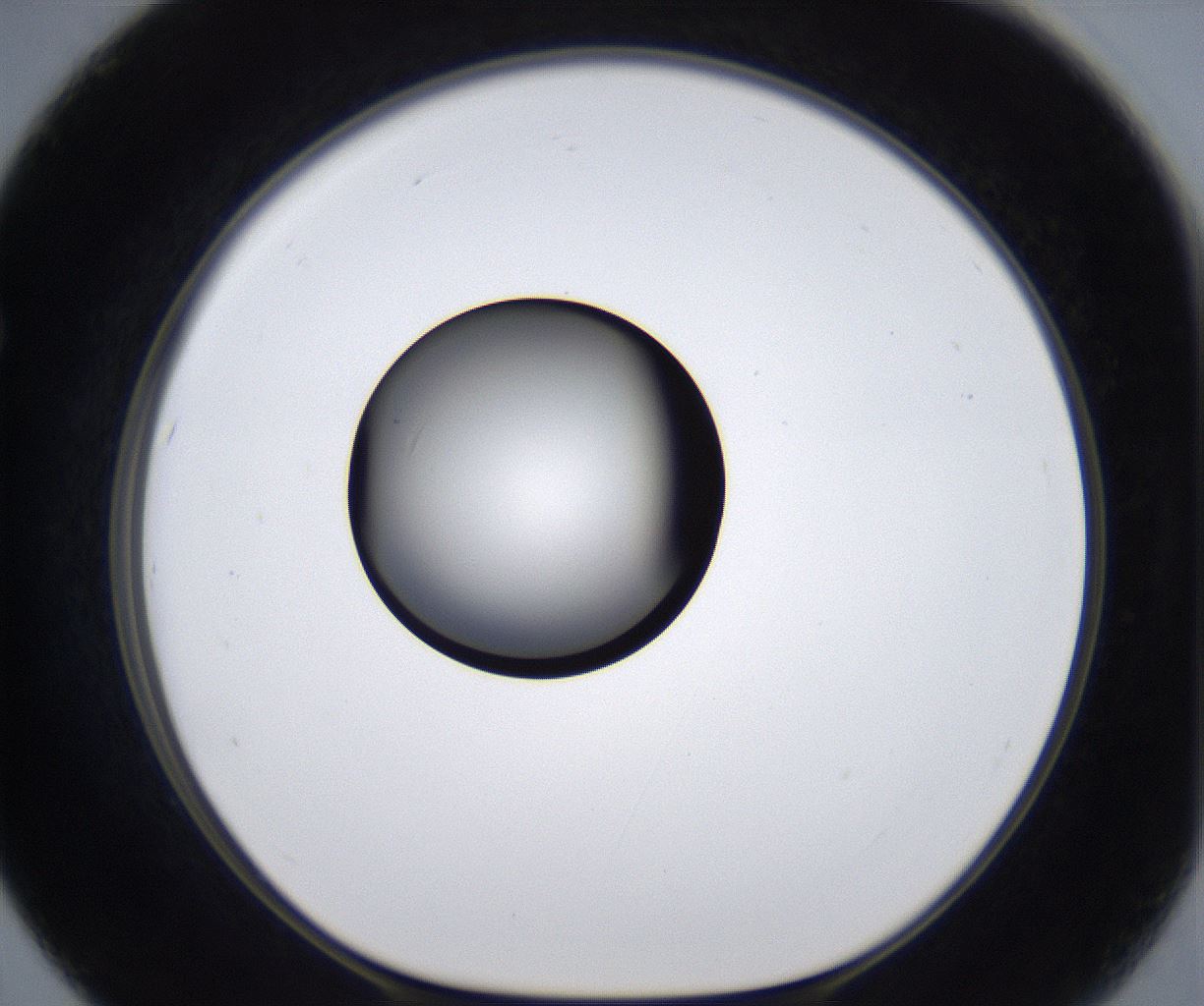 folderID289_plateID2289_batchID10816_wellNum67_profileID1_d1_r159952_ef.jpg