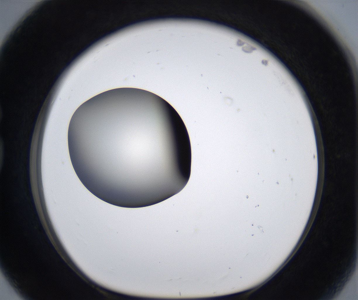 folderID289_plateID2289_batchID10816_wellNum80_profileID1_d1_r159965_ef.jpg