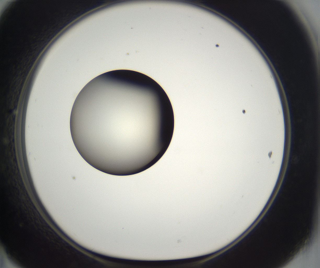 folderID292_plateID2292_batchID10845_wellNum47_profileID1_d1_r160796_ef.jpg