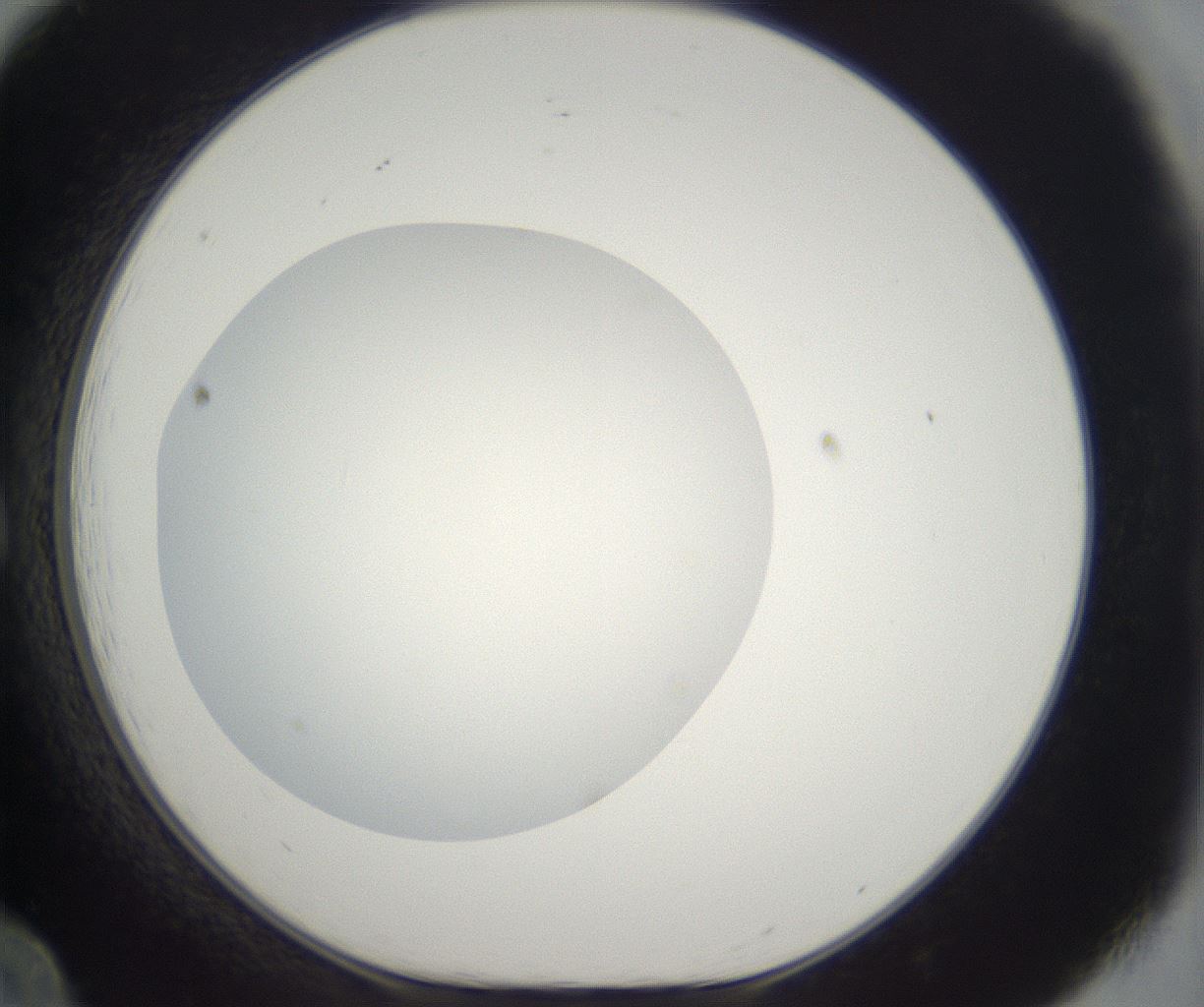 folderID296_plateID2296_batchID10852_wellNum12_profileID1_d1_r161433_ef.jpg