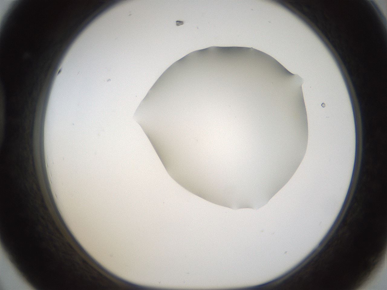 folderID289_plateID1289_batchID4274_wellNum44_profileID1_d1_r77315_ef.jpg
