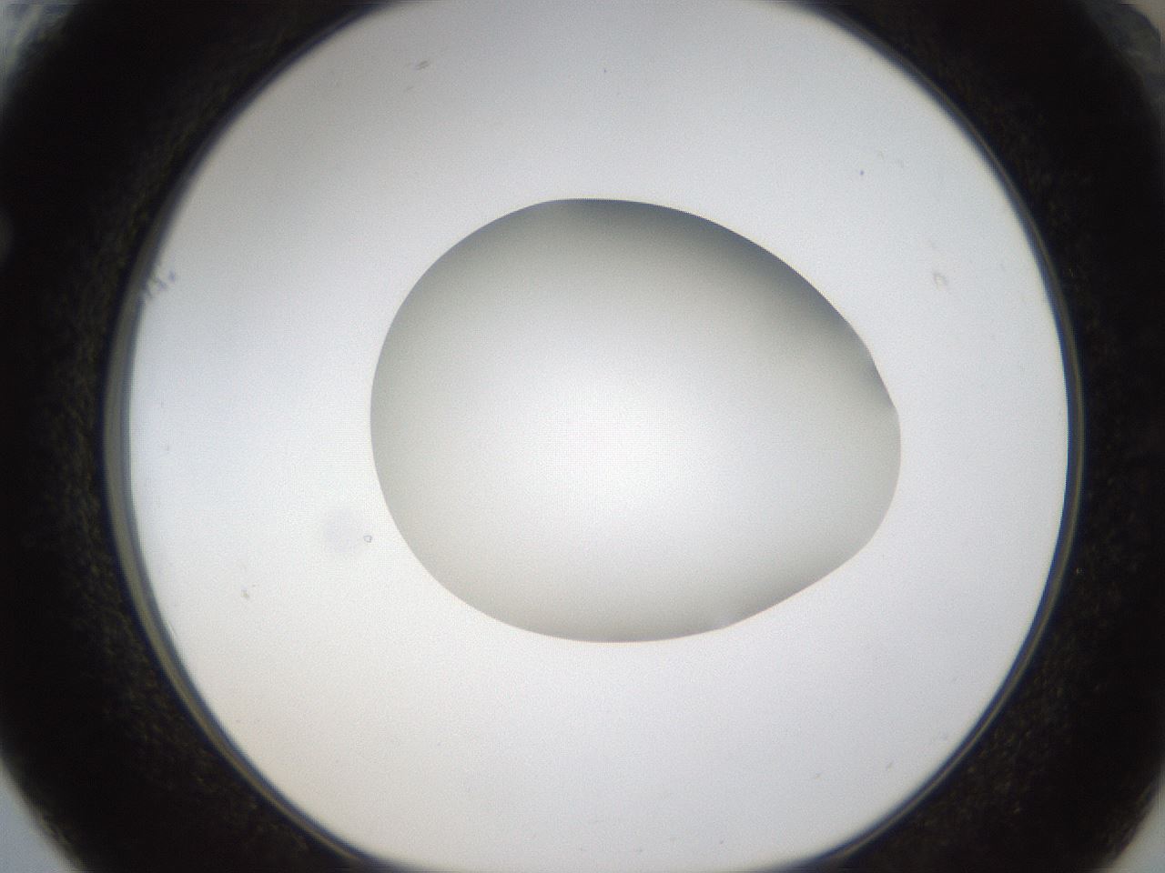 folderID289_plateID1289_batchID4274_wellNum61_profileID1_d1_r77332_ef.jpg