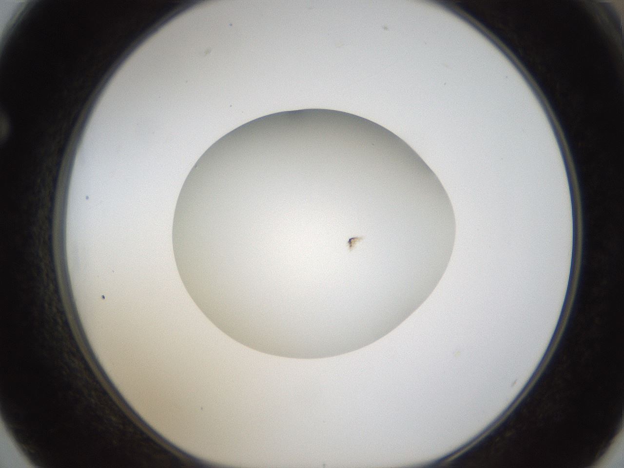 folderID289_plateID1289_batchID4274_wellNum62_profileID1_d1_r77333_ef.jpg
