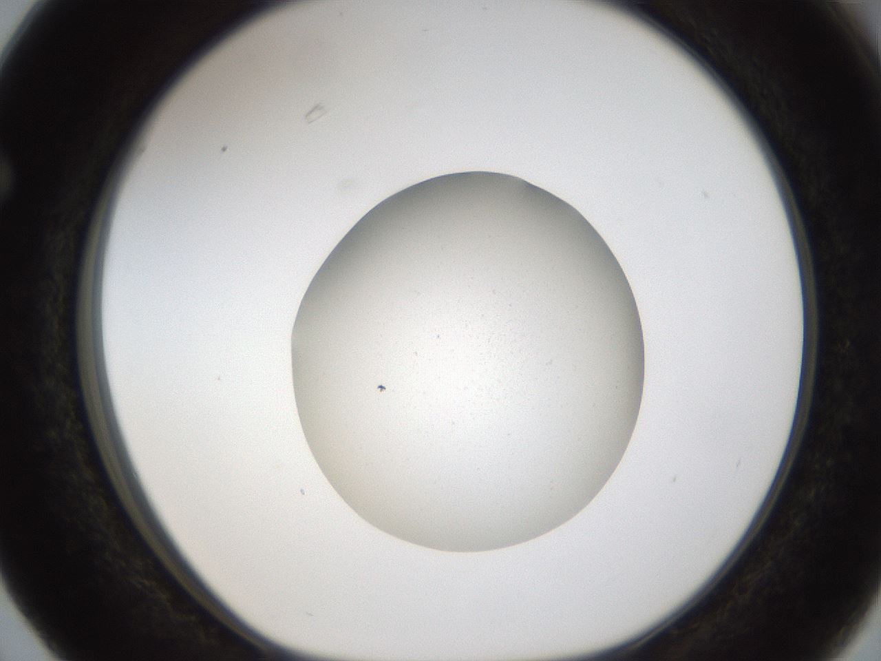 folderID289_plateID1289_batchID4274_wellNum63_profileID1_d1_r77334_ef.jpg