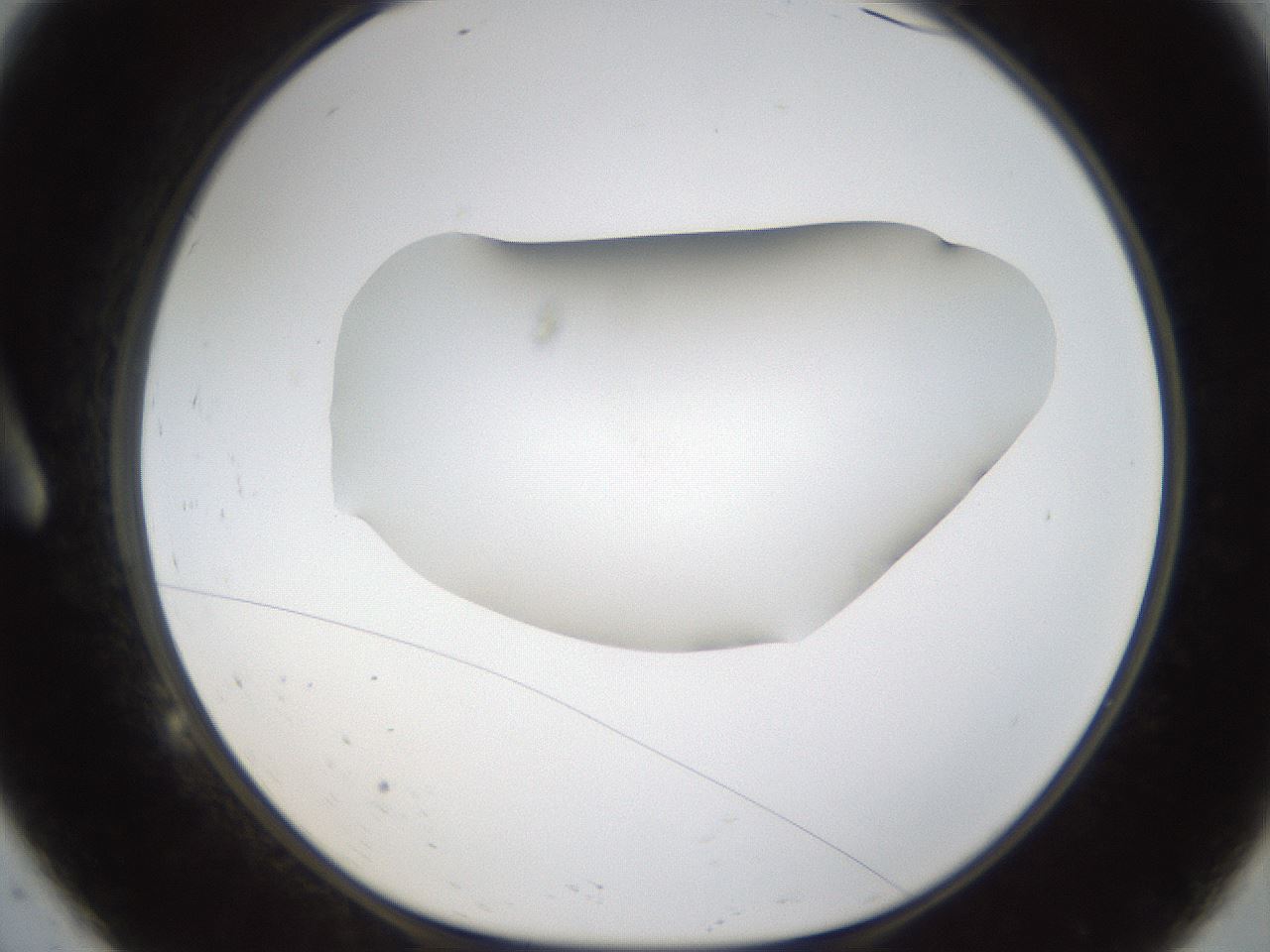 folderID289_plateID1289_batchID4274_wellNum9_profileID1_d1_r77280_ef.jpg