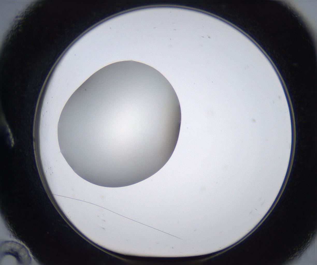 folderID289_plateID2289_batchID10816_wellNum10_profileID1_d1_r159895_ef.jpg