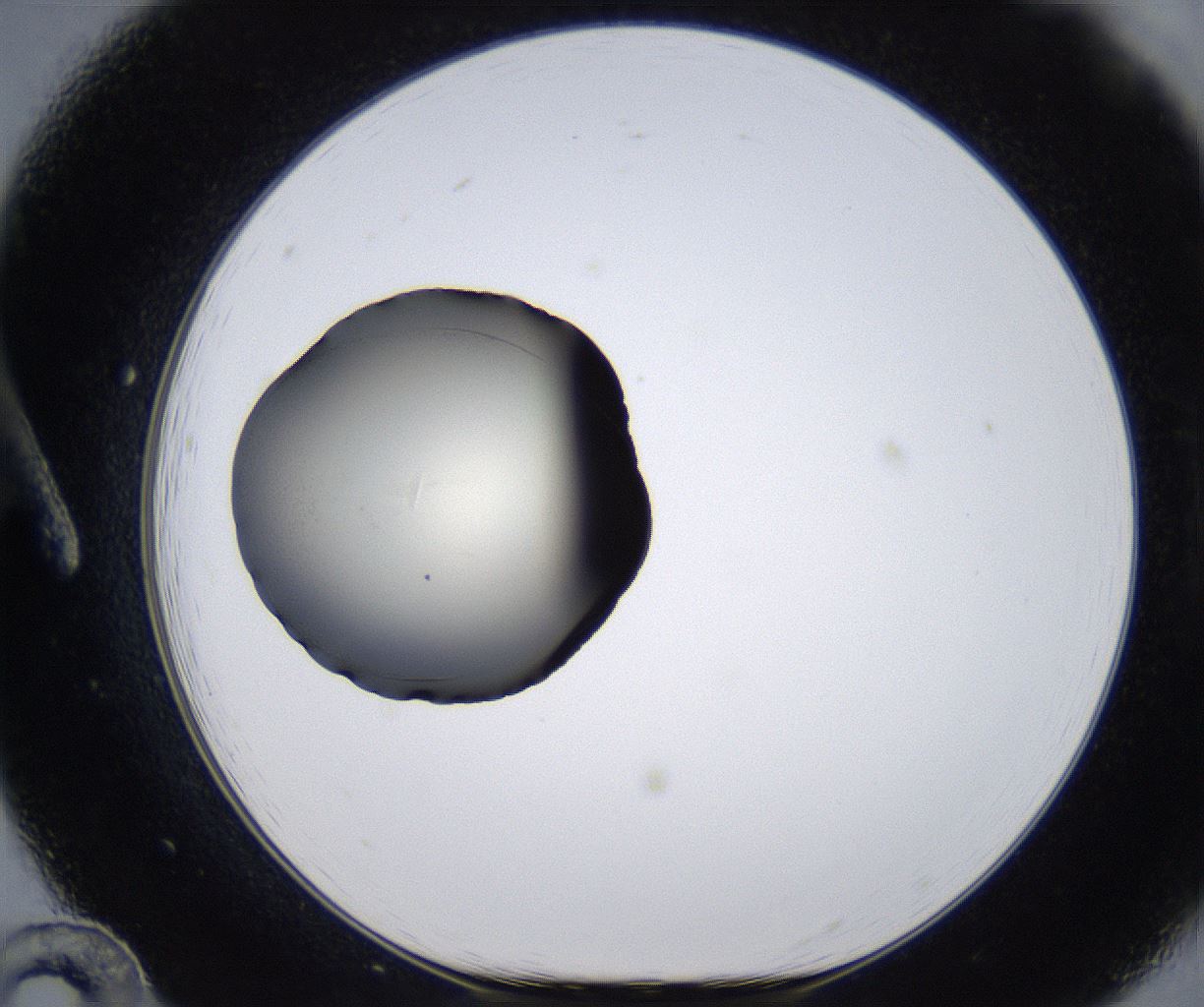 folderID289_plateID2289_batchID10816_wellNum12_profileID1_d1_r159897_ef.jpg