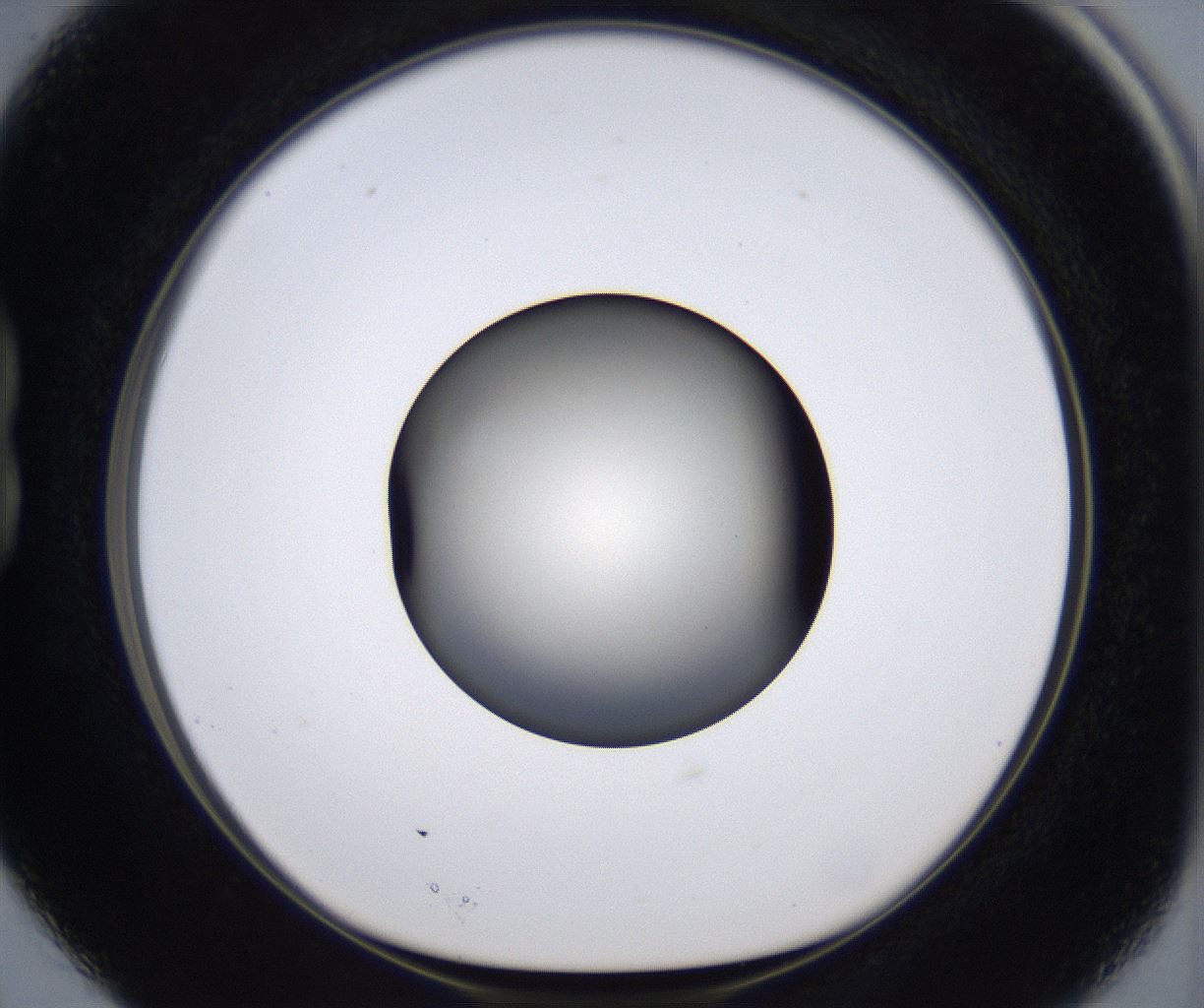folderID289_plateID2289_batchID10816_wellNum15_profileID1_d1_r159900_ef.jpg