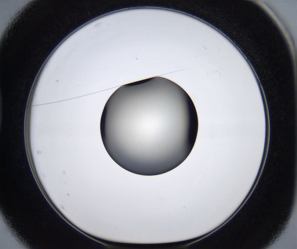 folderID289_plateID2289_batchID10816_wellNum37_profileID1_d1_r159922_ef.jpg
