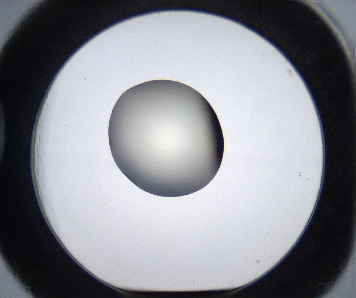 folderID289_plateID2289_batchID10816_wellNum39_profileID1_d1_r159924_ef.jpg