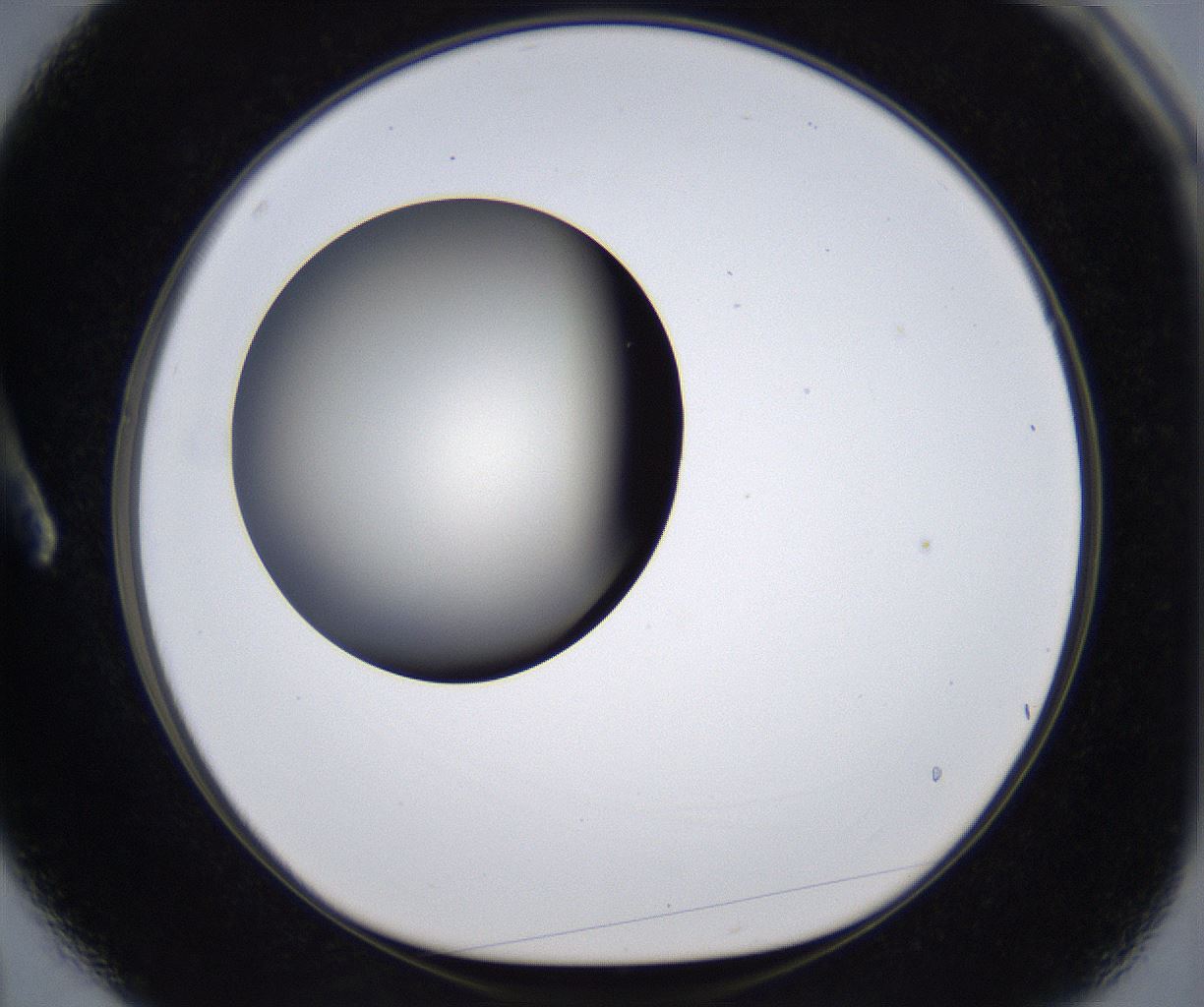 folderID289_plateID2289_batchID10816_wellNum3_profileID1_d1_r159888_ef.jpg