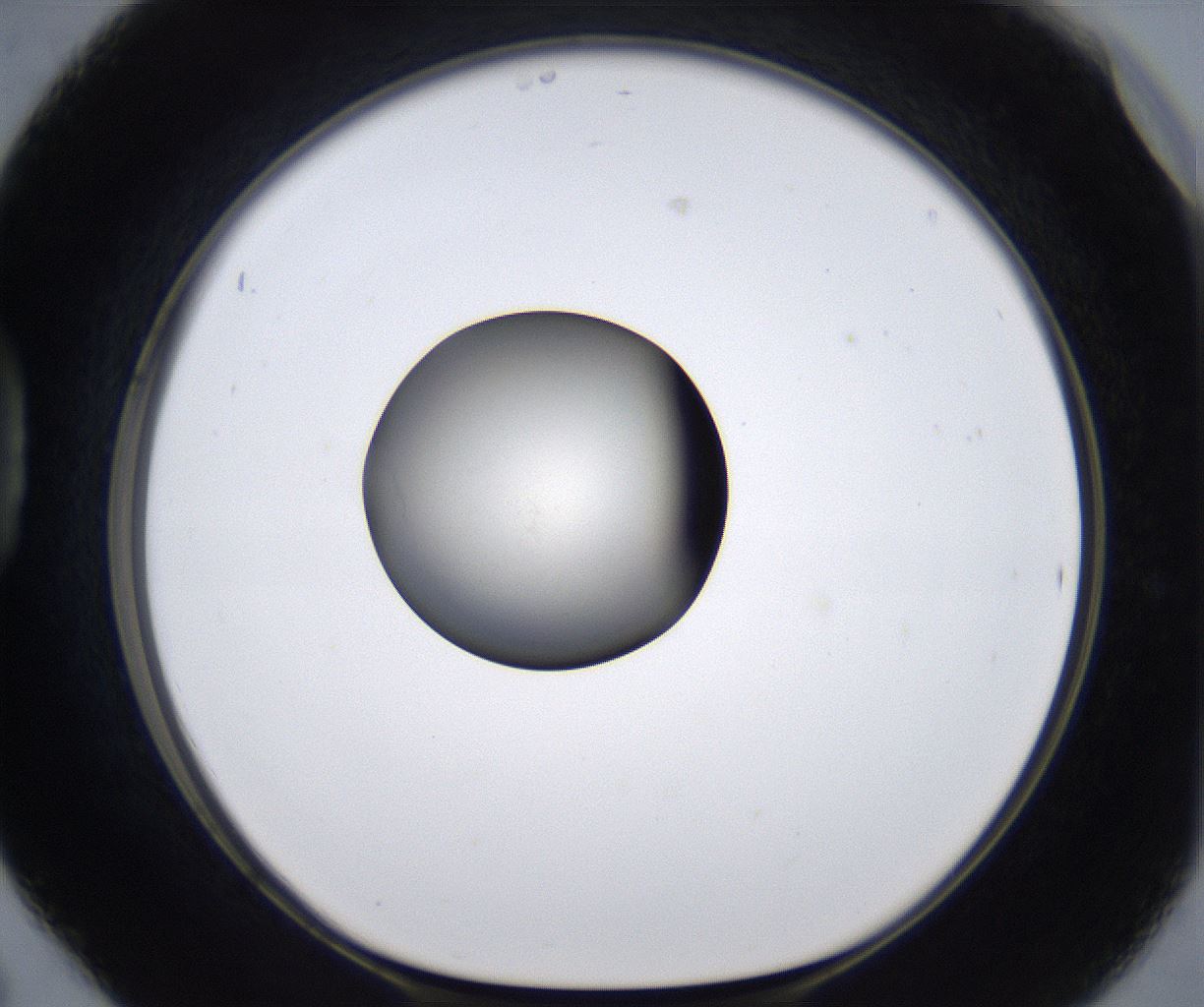 folderID289_plateID2289_batchID10816_wellNum42_profileID1_d1_r159927_ef.jpg
