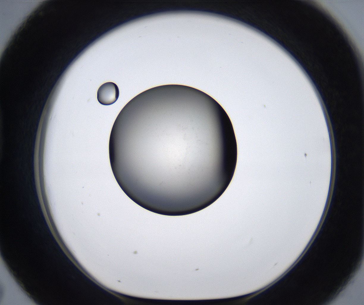 folderID289_plateID2289_batchID10816_wellNum43_profileID1_d1_r159928_ef.jpg