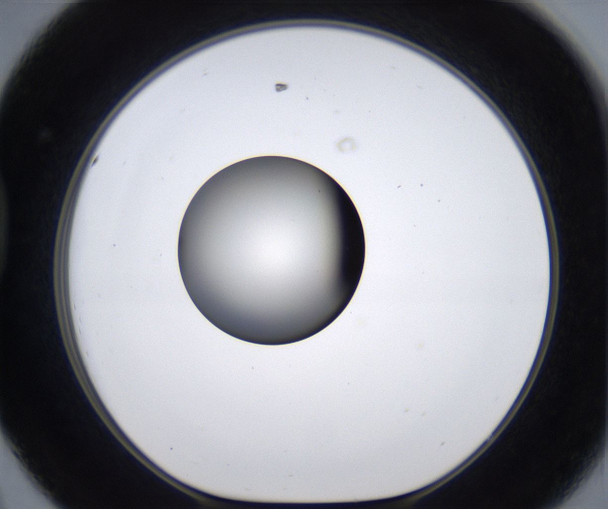folderID289_plateID2289_batchID10816_wellNum44_profileID1_d1_r159929_ef.jpg