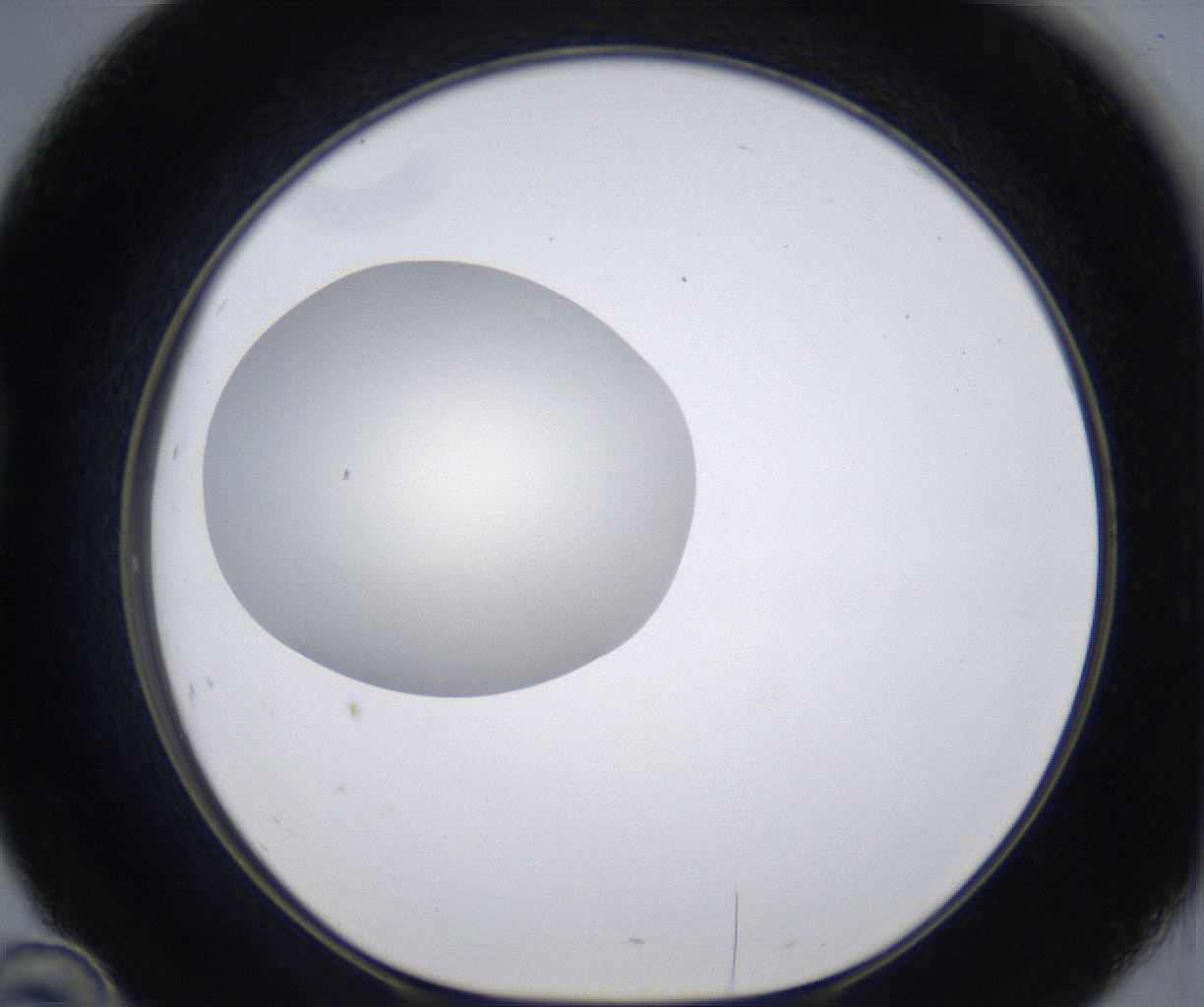 folderID289_plateID2289_batchID10816_wellNum46_profileID1_d1_r159931_ef.jpg