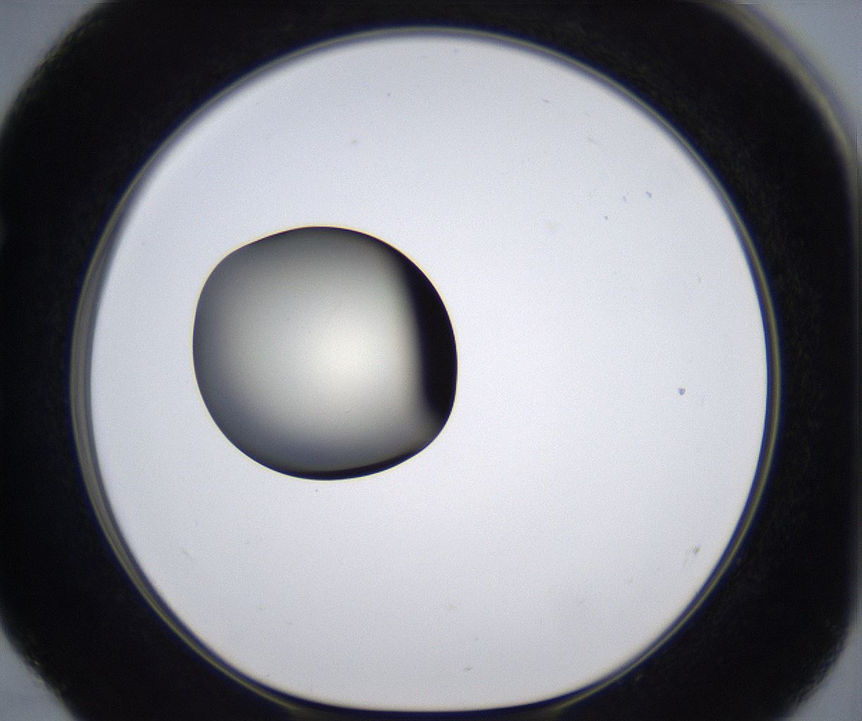 folderID289_plateID2289_batchID10816_wellNum52_profileID1_d1_r159937_ef.jpg