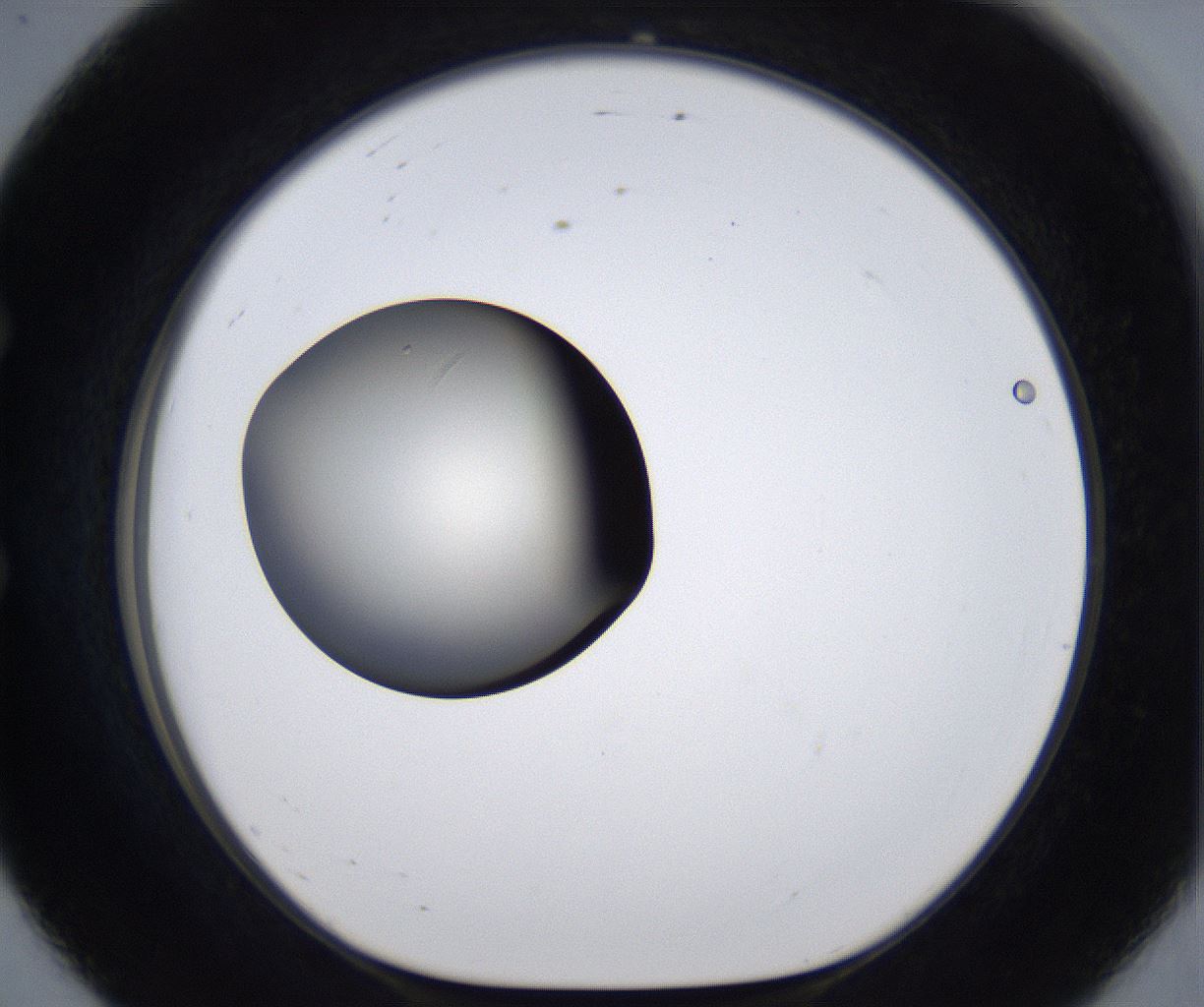 folderID289_plateID2289_batchID10816_wellNum56_profileID1_d1_r159941_ef.jpg
