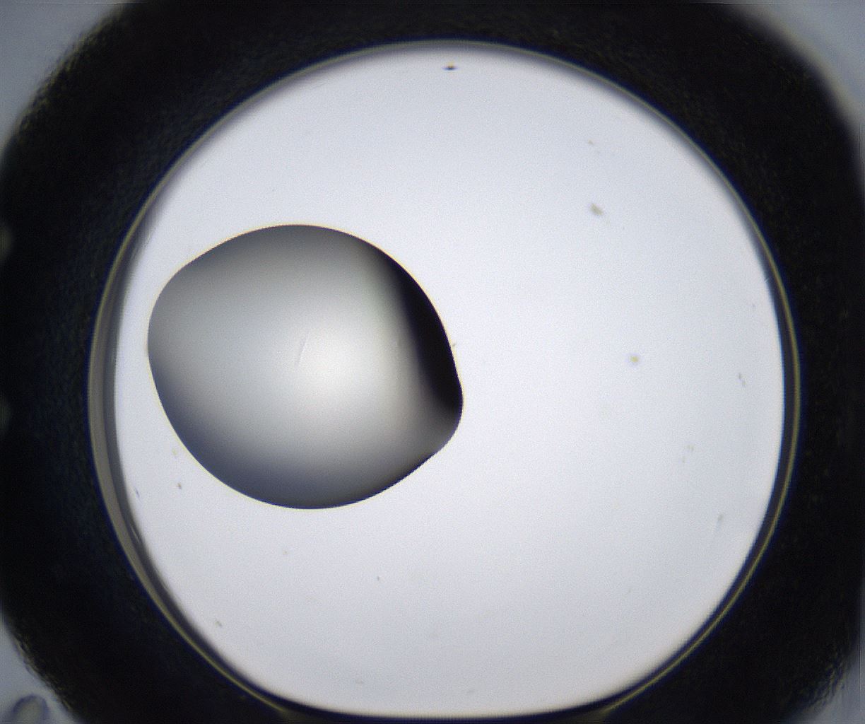 folderID289_plateID2289_batchID10816_wellNum59_profileID1_d1_r159944_ef.jpg