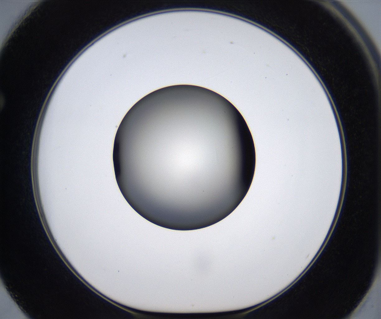 folderID289_plateID2289_batchID10816_wellNum62_profileID1_d1_r159947_ef.jpg