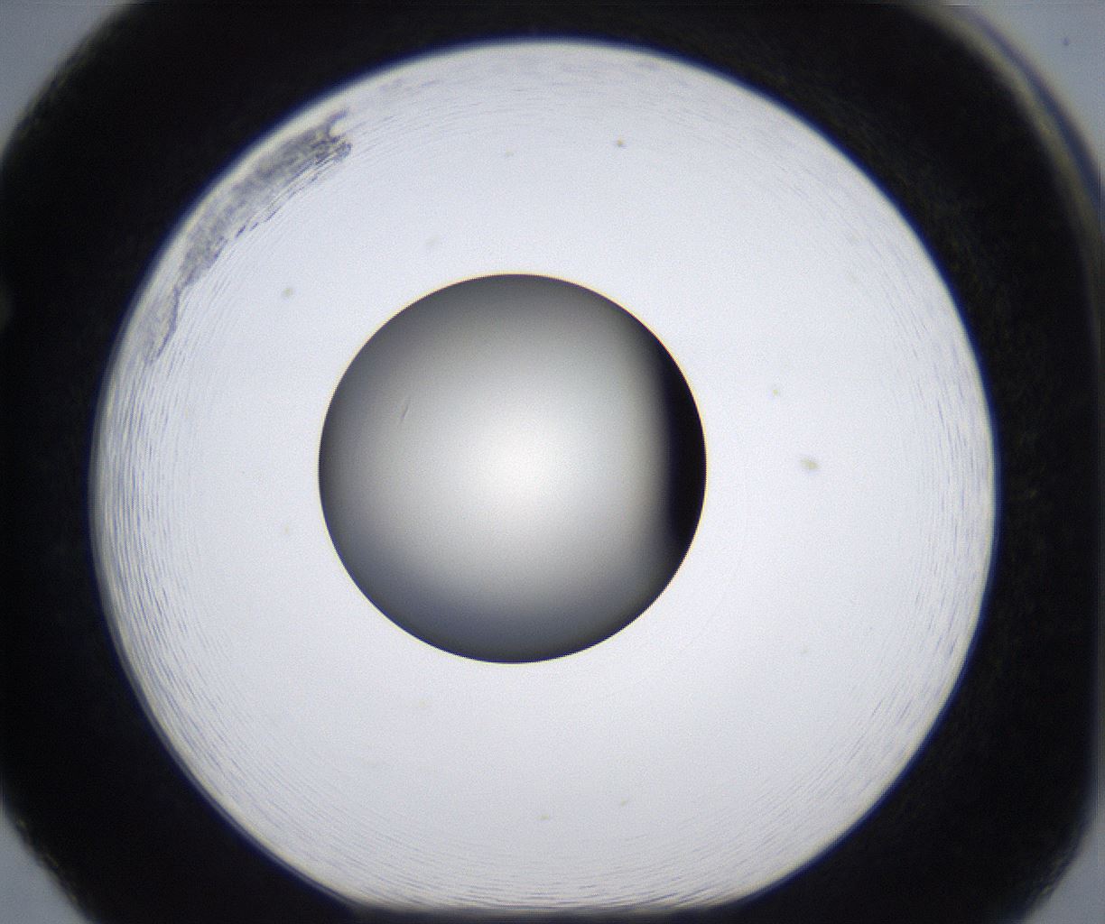 folderID289_plateID2289_batchID10816_wellNum65_profileID1_d1_r159950_ef.jpg