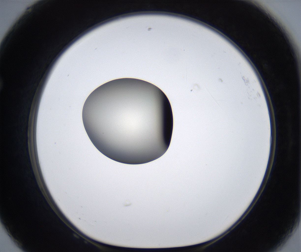 folderID289_plateID2289_batchID10816_wellNum68_profileID1_d1_r159953_ef.jpg
