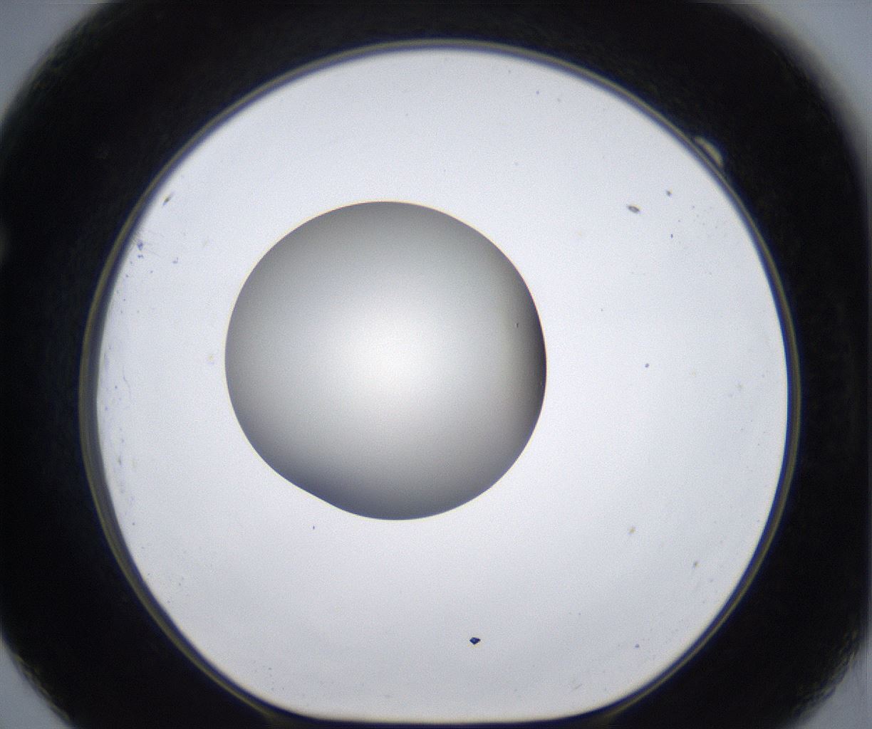 folderID289_plateID2289_batchID10816_wellNum69_profileID1_d1_r159954_ef.jpg