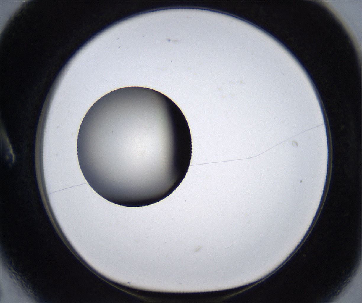 folderID289_plateID2289_batchID10816_wellNum6_profileID1_d1_r159891_ef.jpg