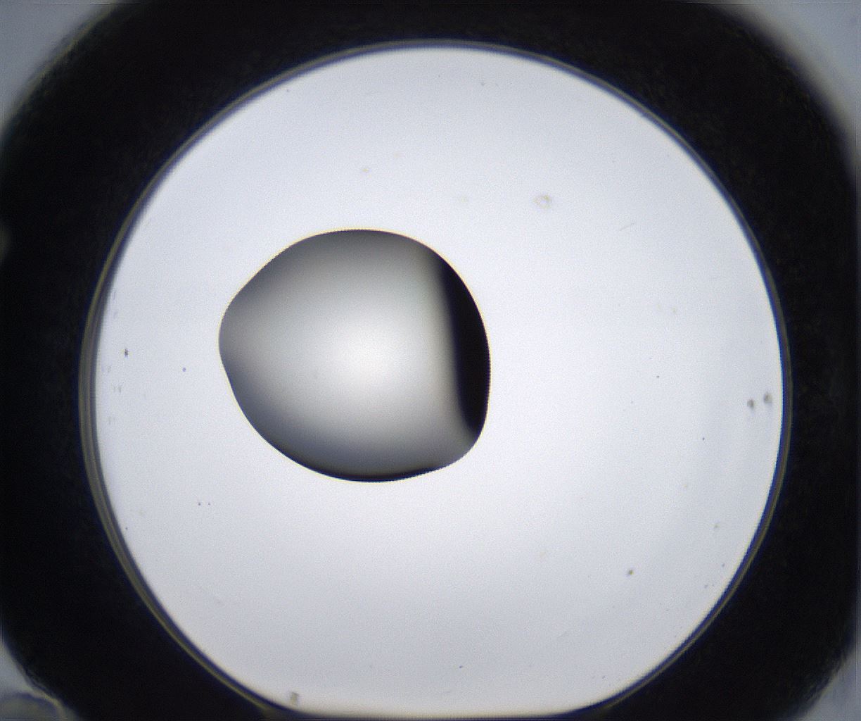 folderID289_plateID2289_batchID10816_wellNum70_profileID1_d1_r159955_ef.jpg