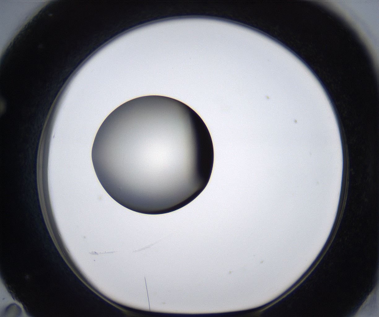 folderID289_plateID2289_batchID10816_wellNum71_profileID1_d1_r159956_ef.jpg