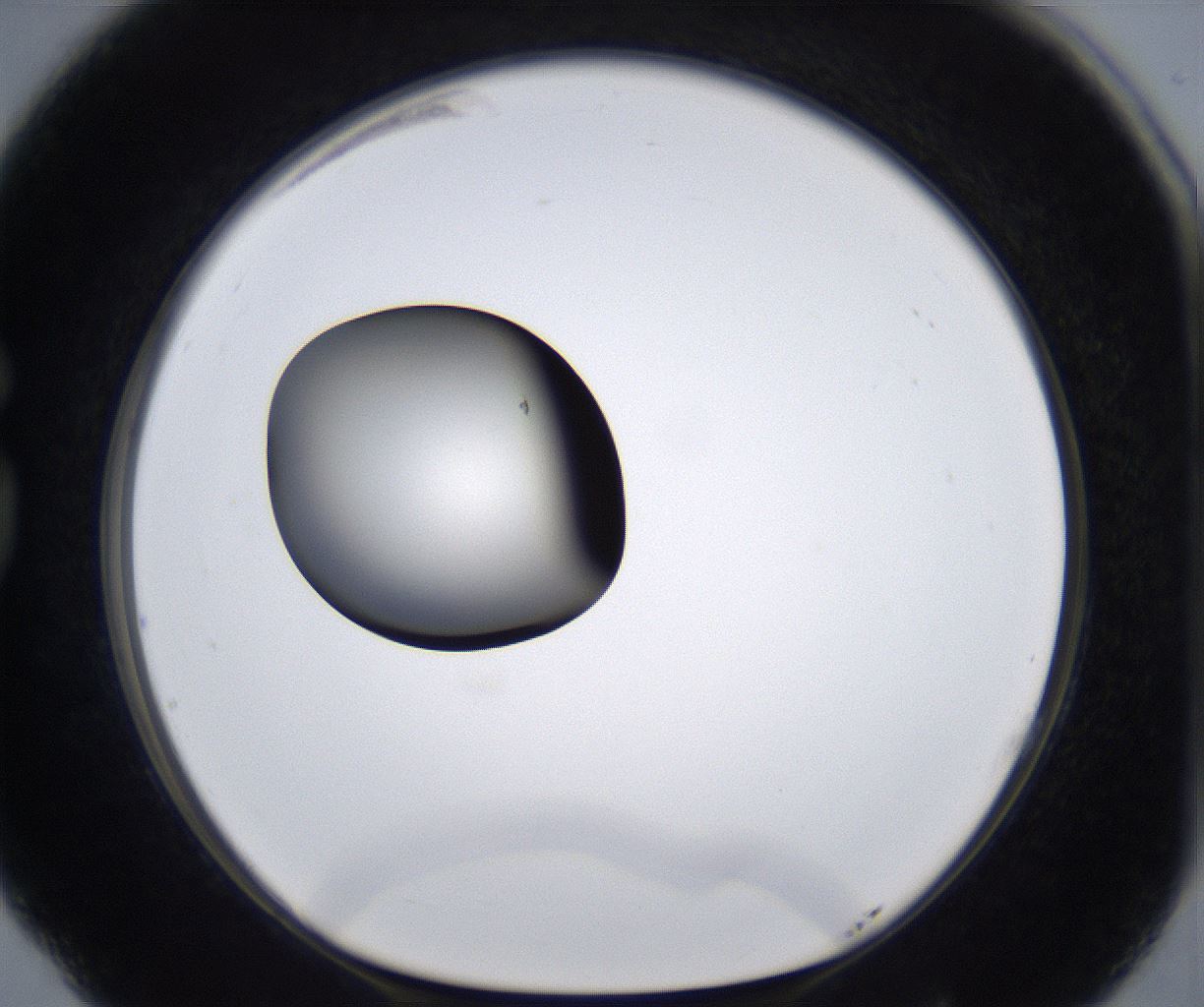 folderID289_plateID2289_batchID10816_wellNum77_profileID1_d1_r159962_ef.jpg
