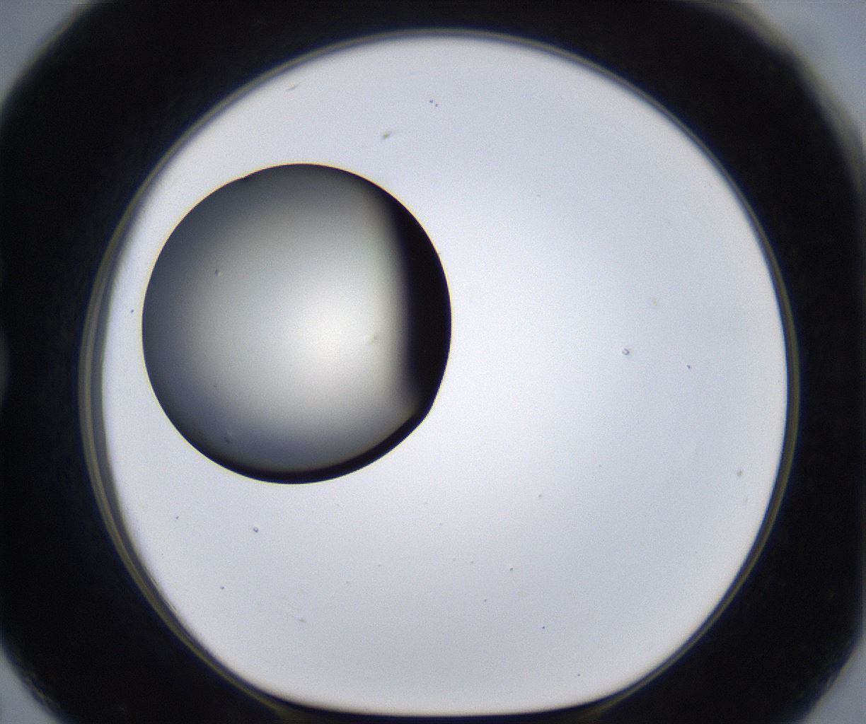 folderID289_plateID2289_batchID10816_wellNum79_profileID1_d1_r159964_ef.jpg