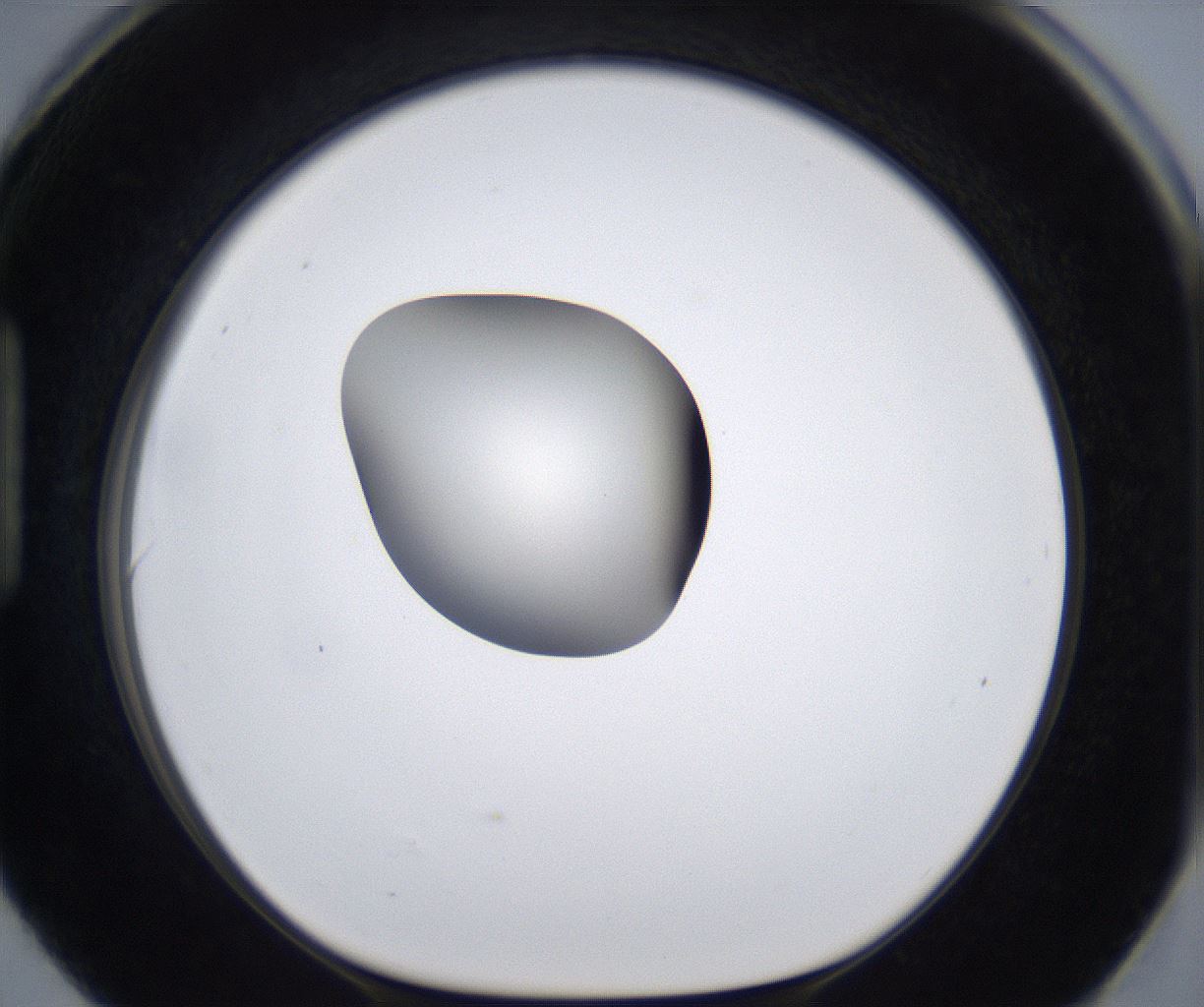 folderID289_plateID2289_batchID10816_wellNum90_profileID1_d1_r159975_ef.jpg