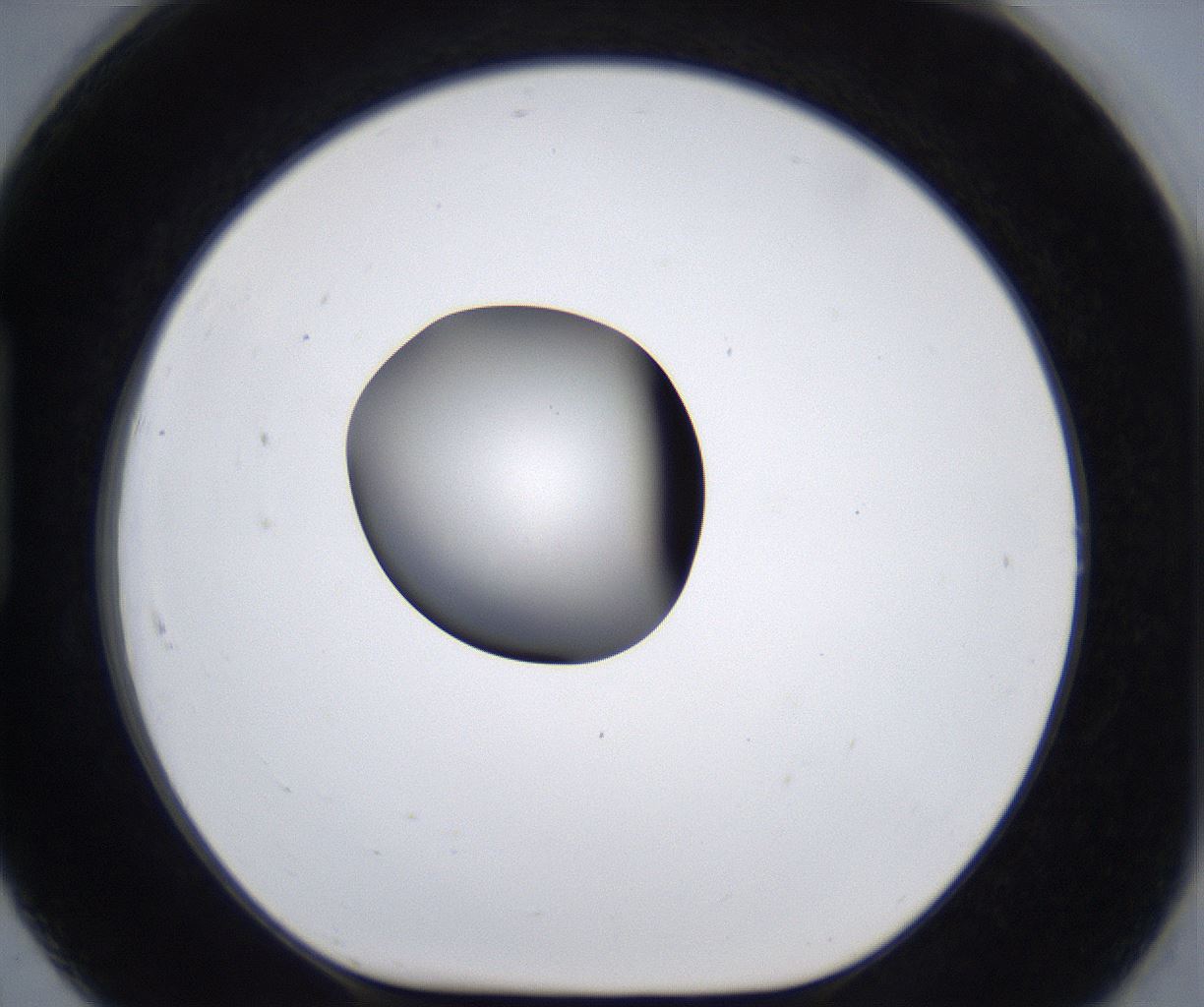 folderID289_plateID2289_batchID10816_wellNum91_profileID1_d1_r159976_ef.jpg