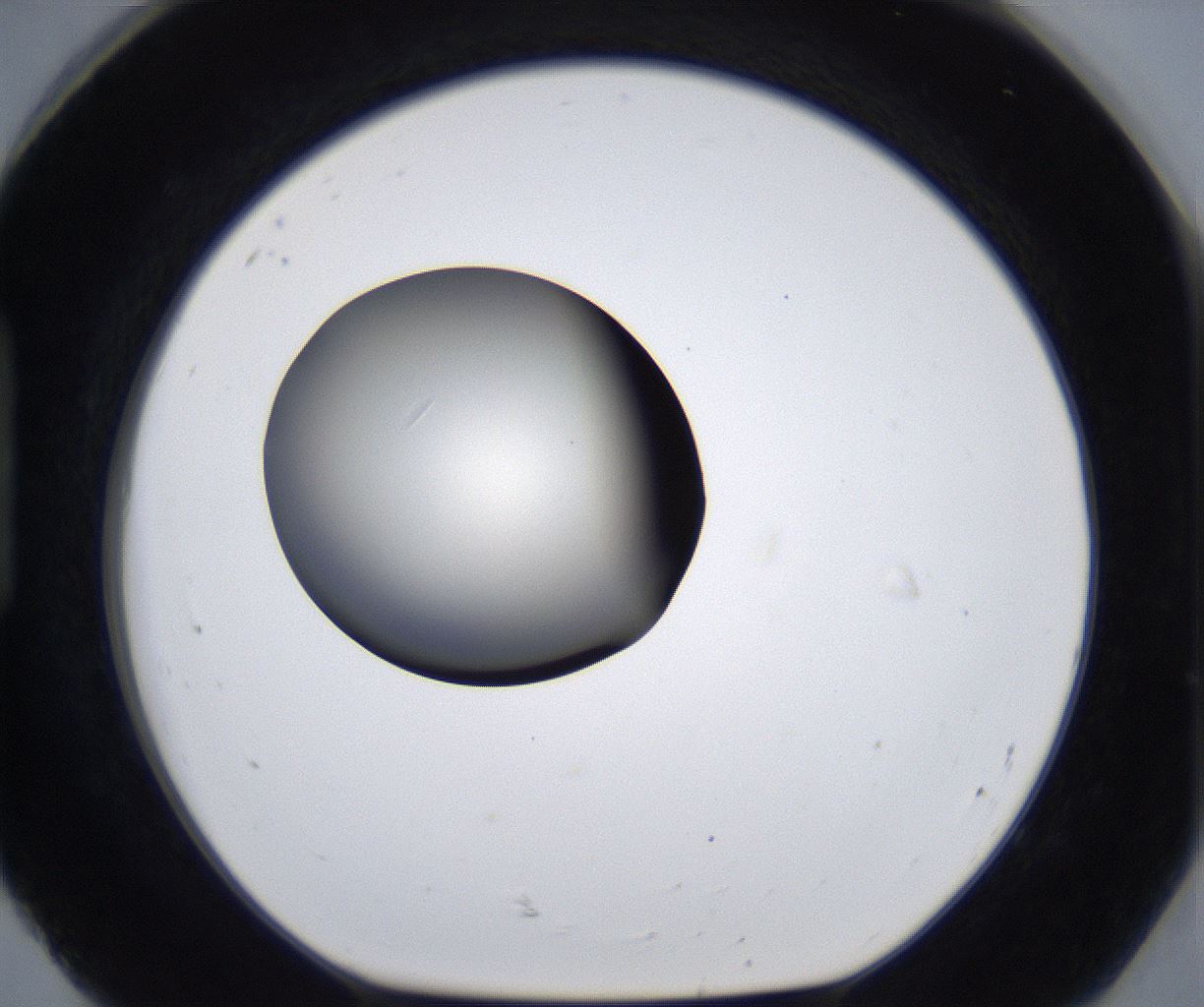 folderID289_plateID2289_batchID10816_wellNum92_profileID1_d1_r159977_ef.jpg