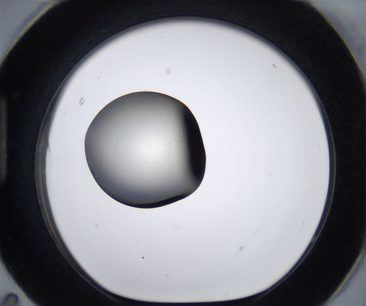 folderID289_plateID2289_batchID10816_wellNum95_profileID1_d1_r159980_ef.jpg