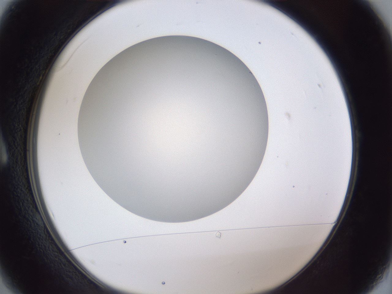 folderID28_plateID1028_batchID1980_wellNum1_profileID1_d1_r43940_ef.jpg