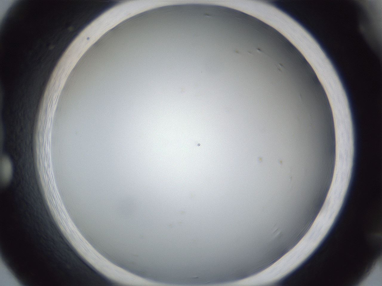 folderID28_plateID1028_batchID1980_wellNum20_profileID1_d1_r43978_ef.jpg