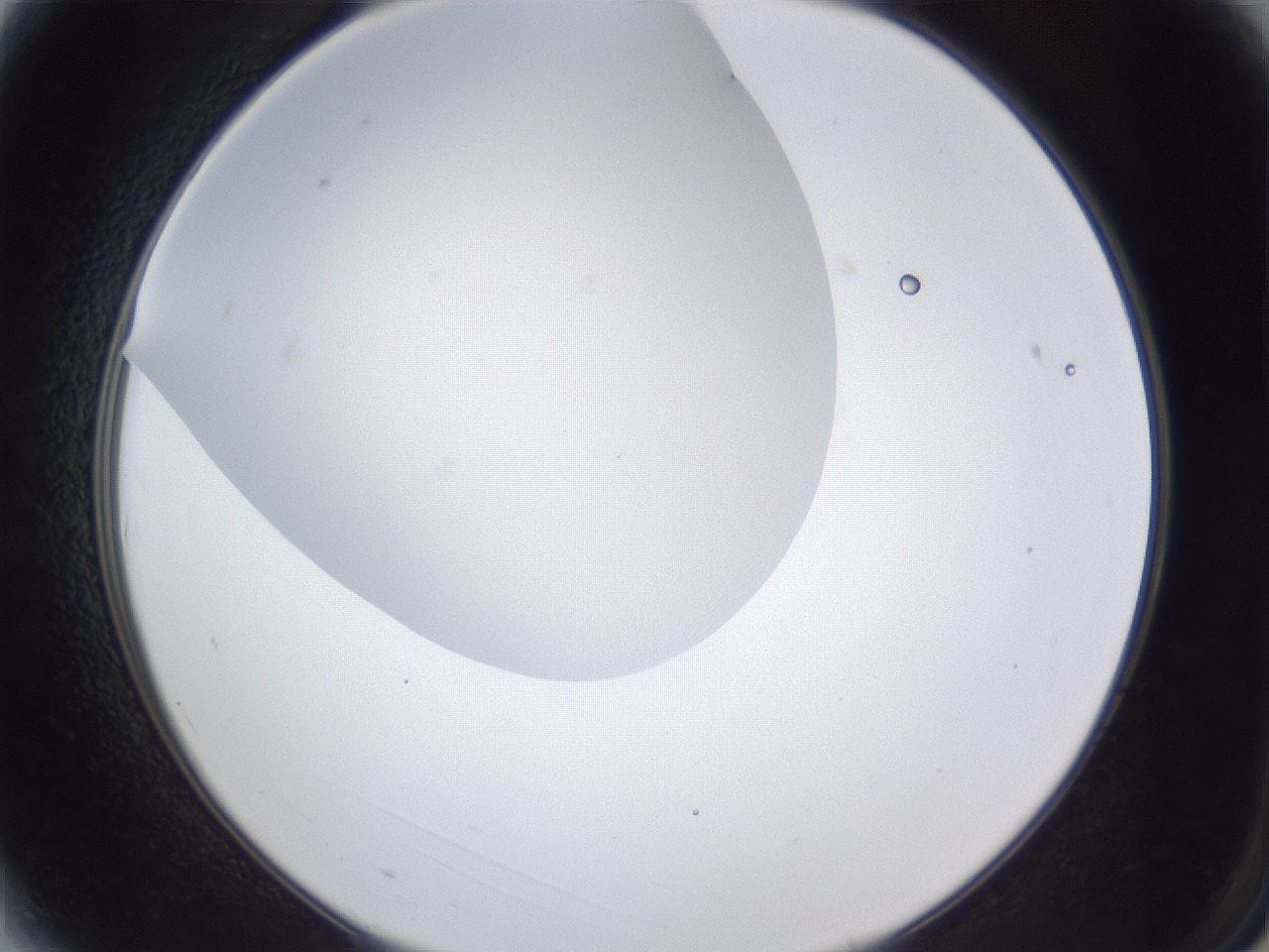 folderID28_plateID1028_batchID1980_wellNum3_profileID1_d2_r43945_ef.jpg