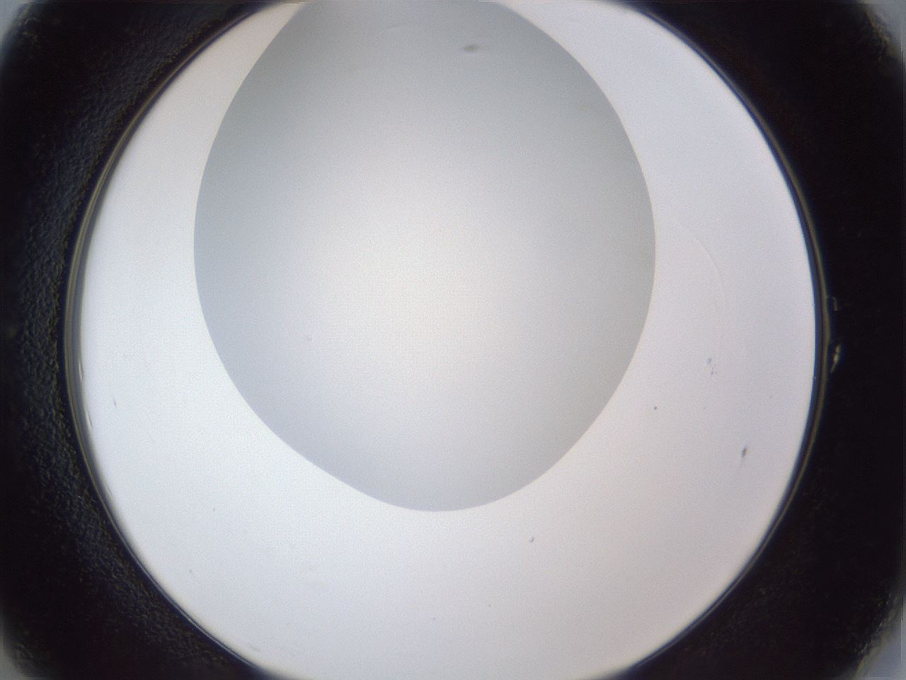folderID28_plateID1028_batchID1993_wellNum1_profileID1_d2_r43941_ef.jpg
