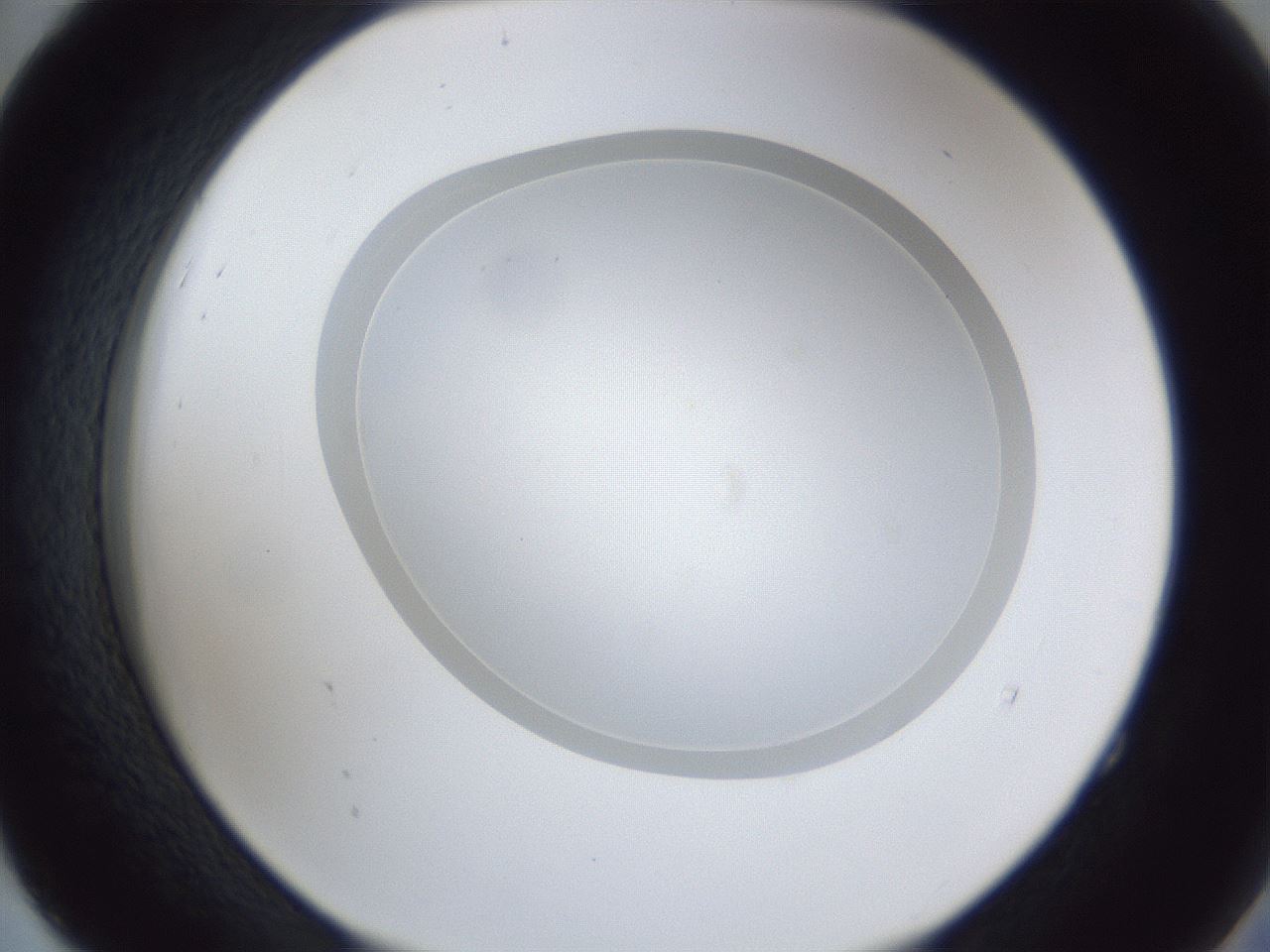 folderID28_plateID1028_batchID1993_wellNum52_profileID1_d2_r44043_ef.jpg