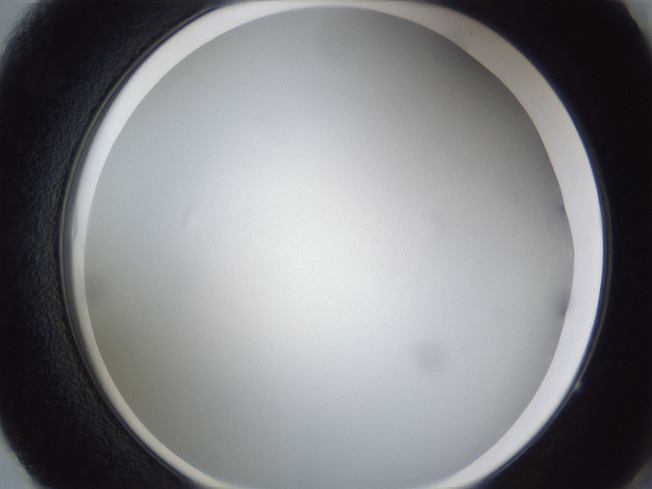 folderID28_plateID1028_batchID1993_wellNum61_profileID1_d2_r44061_ef.jpg